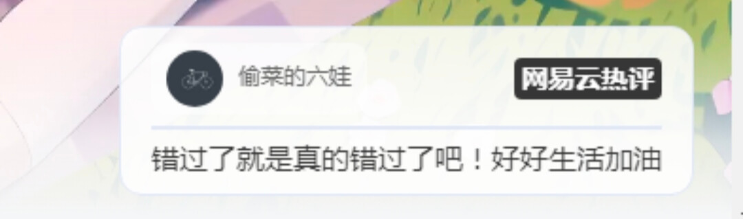 【子比美化】PC端页面底部显示网易云热评-游小二